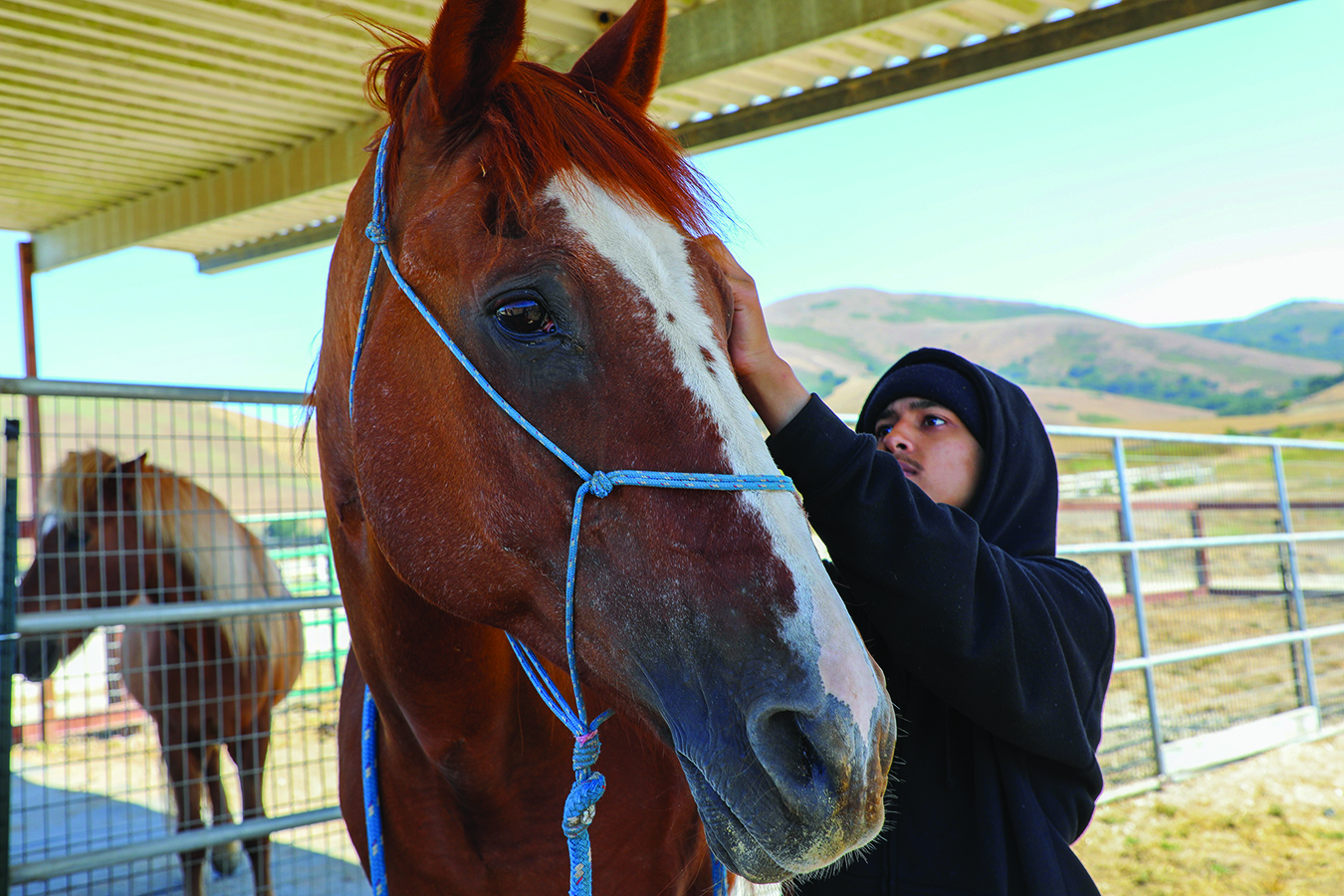 Student outdoor with horse